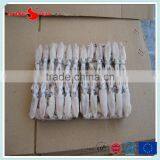 BQF Baby Squid Block Frozen thumbnail-3