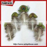 Hot Sale Designer Indian Cheap Natural Artificial Peacock Feathers thumbnail-1