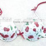 Cherry Bra/ Fashion Spandex Bra Sexy Bra Underwear Made in China thumbnail-2