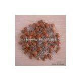 Sell Ceramic Capacitor thumbnail-1
