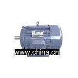 Three Phase Induction Motor thumbnail-1