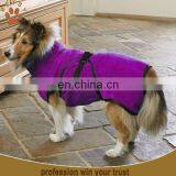 Dog Bath thumbnail-5