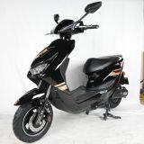 Electric Motorcycle Electric Bike Electric Scooter 2 Wheel 800W for Adults thumbnail-5
