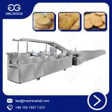 Automatic Small Biscuit Making Machine/Biscuit Making Production Line