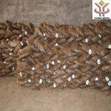 1mm 1.2mm 1.5mm 2.4mm Black Iron Annealed Wire thumbnail-4