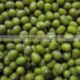 Organic Mung Bean thumbnail-1