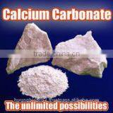 Fine CACO3/limestone Powder for Rubber From VIet Nam_GCC thumbnail-1