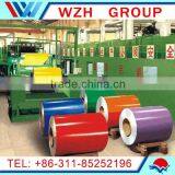 PPGI & GI Steel Coil / Building Materials thumbnail-1