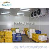 Aluminum 100mm 200mm pu Panel Cold Room, Cold Room Panel With Cam Lock thumbnail-3