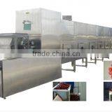 Tunnel type continous microwave nuts roasting machine /Microwave roasting equipment