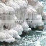 Bulk Dead Sea Salt