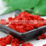 China Ningxia Wolf Berry