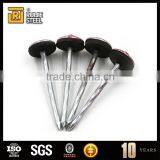 China Supply Galvanized Nails/umbrella Head Roofing Nails