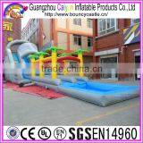 Outdoor Game Long Inflatable Water Slide For Sales thumbnail-1