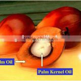 palm kernel oil press machine,Professional palm oil processing equipment manufacturer,sold to Indunisia,Nigeria