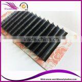 Ellipse Lashes 0.15mm 0.20mm Length From 6mm to 17mm