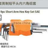 9pc Short Arm Key Set SAE