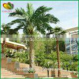 Wholesale Artificial Big Date Palm Tree Fake Plants thumbnail-2