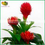 Garden Decoration Large Artificial Bonsai Tree for Sale thumbnail-4