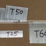 T Series thumbnail-1