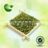 Chinese Green Mung Beans