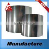 MATT SILVER PET FILM