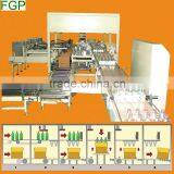 Canister Oil Bottle Automatic Drop Type Case Packer/Cartoning Machine