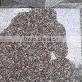 G664 Cheap Chinese Natural Stone Slate Pink Granite Tile Slabs thumbnail-3