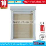Low Price White or Any Color Mosquito Screen Window