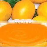 Alphonso Mango Pulp From India thumbnail-1