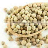 VIET NAM WHITE PEPPER 630g/l Good price (Viber/Whatsaap: 0084965152844)