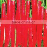 Hybrid Red Chili Seeds Pepper Seeds for Growing-PS010A thumbnail-1