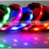 LED Dog Collars