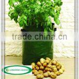 Most Pouplar Patio Potato Planter Bag thumbnail-1