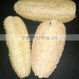 Gourd Loofah thumbnail-1