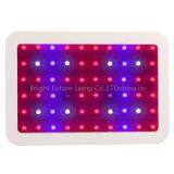 High Power 60leds 600w Led Grow Light thumbnail-2