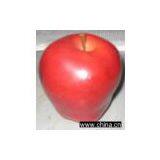 PU Apple thumbnail-1