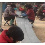 Stainless Steel Rope Mesh for Zoo