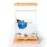 Mini Desk Fish Tank Creative Artware Aquarium Desktop Decoration thumbnail-1