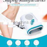 Renlang Mini Fat Freezing Machine 2020 Cold Fat Freeze Body Slimming Home Device thumbnail-6