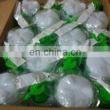 2l Air Pressure Garden Cosmetic Atomizing Fine Mist Sprayer thumbnail-6