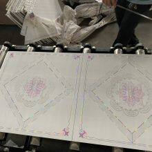 Small Scale Gypsum Board Lamination Machine 600*600 Gypsum Ceiling Tiles Making Machine thumbnail-5