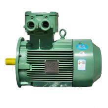 Explosion-proof Motors for Coal Mine and Petroleum Machinery Ybx4-80m1-2 0.75kw Ybx4-80m2-2 1.1kw thumbnail-2