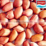 Bulk Raw Organic Peanuts