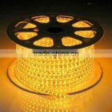 120V/240V 60 Led/m RGB Flexible SMD 5050 LED Strip Light With Flash Bulb Quality Choice thumbnail-1