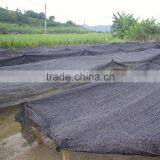 High Quality Greenhouse Used Elastic Mesh Netting Shade Cloth thumbnail-6