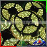 New Fashion Strip LED Light For Brand Store,Full Color 5050 Rgb Led Strip Dc12 v Black/white Ip68 Led Strip Light thumbnail-2