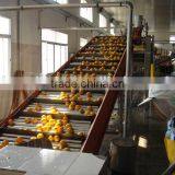 5.5 Tons Tomato Jam Production Line
