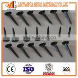 the Factory Have Iron Bluish Shoe Tacks Black Cupper Nails Famous Brand Three Star thumbnail-1