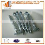 Any Packing Hardened Galvanized Concrete Nails thumbnail-6